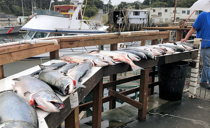 CDFW to Open 2020 Recreational Ocean Salmon Fishery April 4th