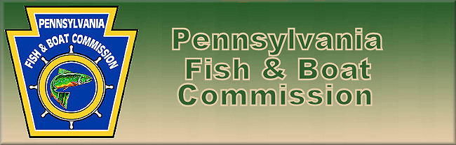 Pennsylvania Fishing Regulations Changes for Trout & Atlantic Striped Bass